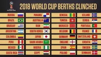 是已经报名的国际足联会员国(地区)为了参加世界杯所进行的本大洲淘汰制比赛